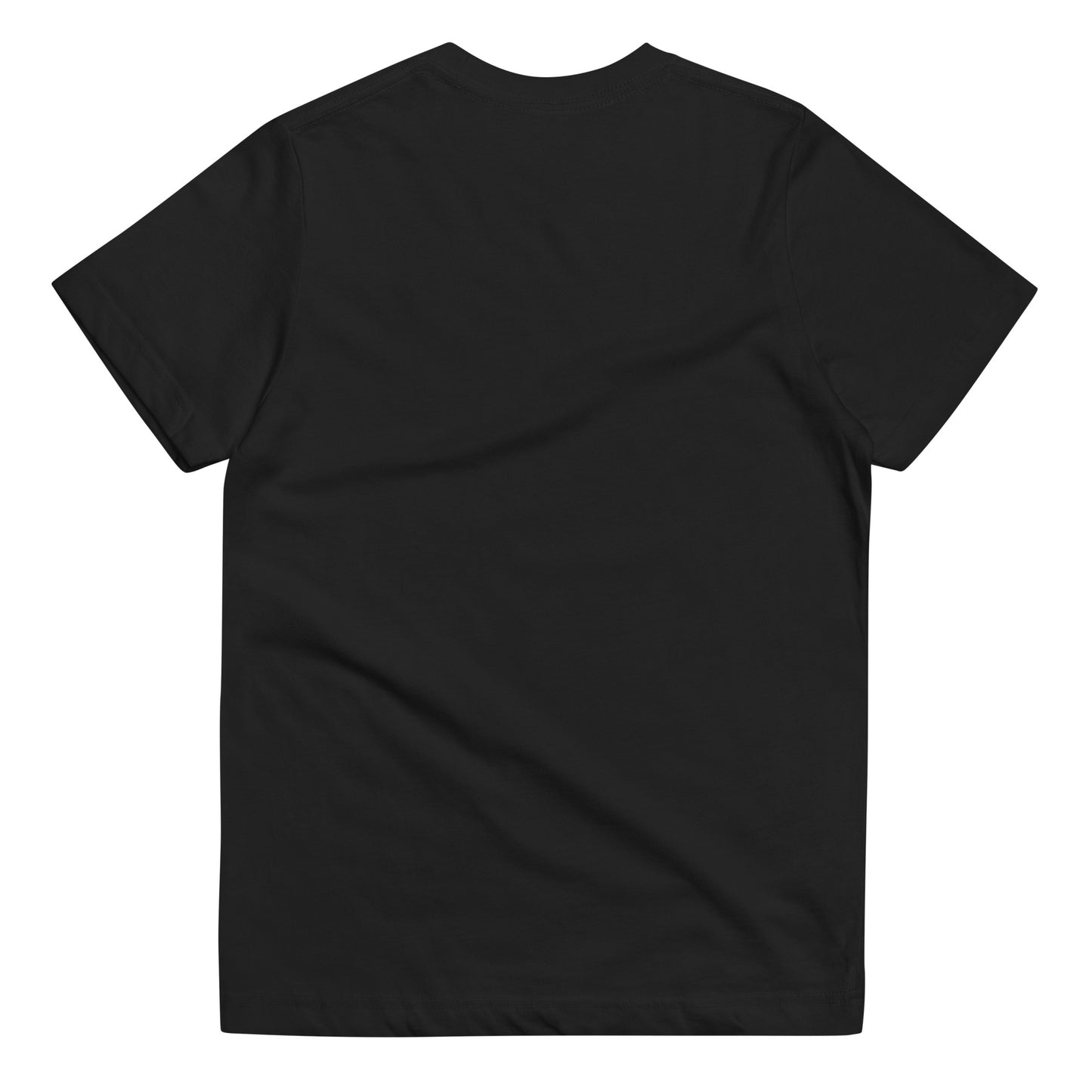 Youth jersey t-shirt - House of S & N
