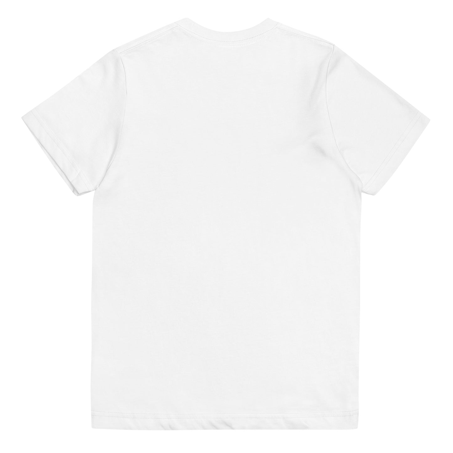 Youth jersey t-shirt - House of S & N